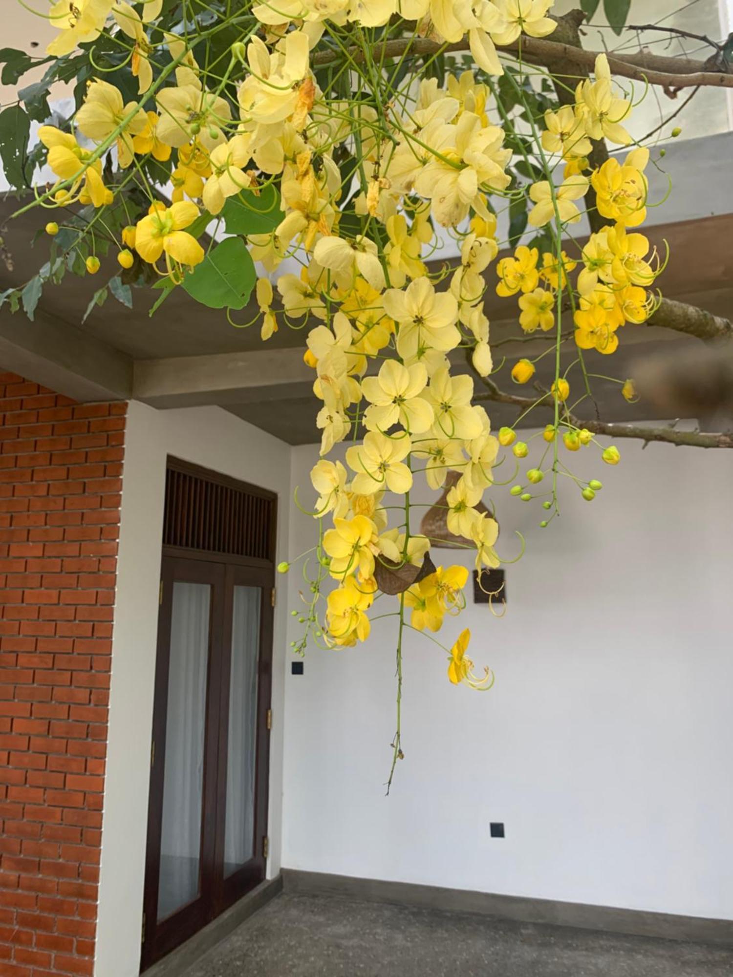Bed and Breakfast Thaproo Bay Hiriketiya Dikwella Exterior foto