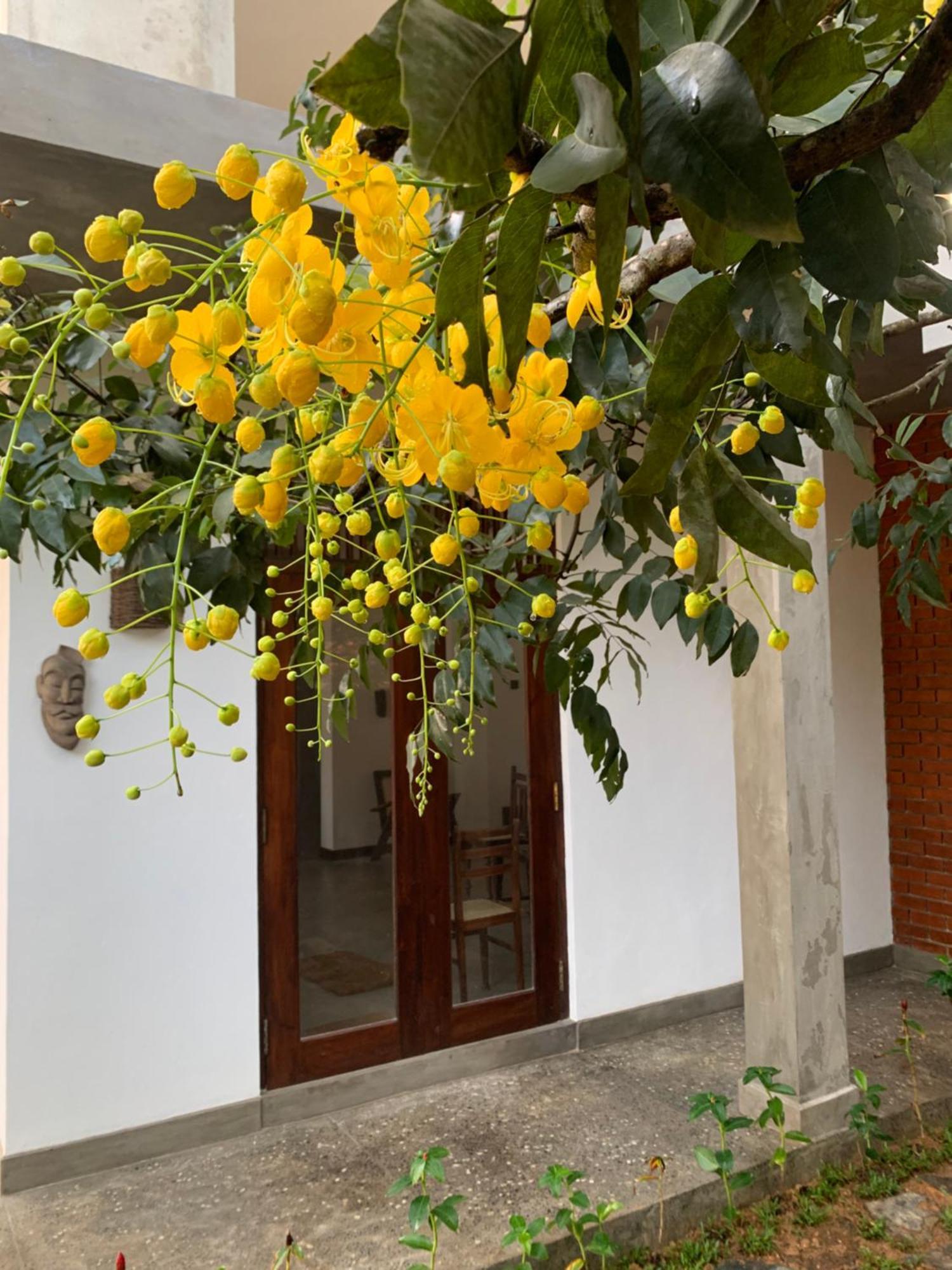 Bed and Breakfast Thaproo Bay Hiriketiya Dikwella Exterior foto